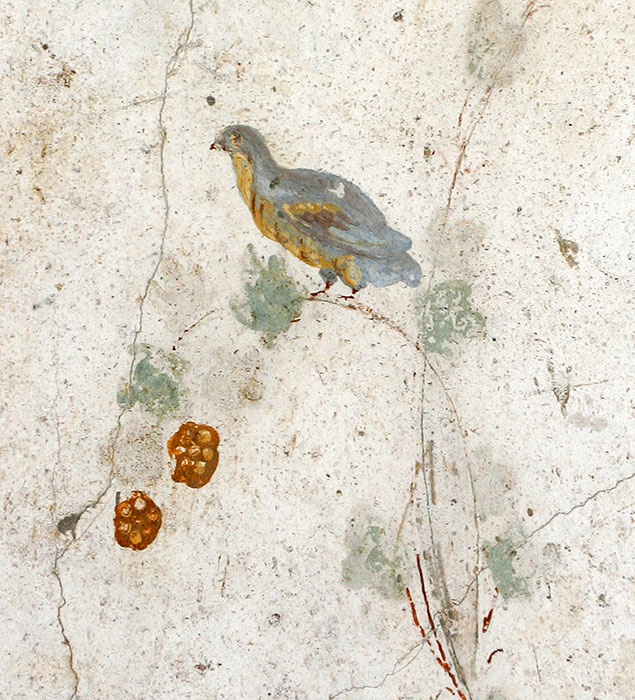 Fresco Detail Villa Poppaea, Oplontis         