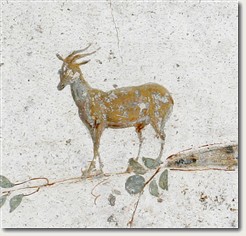 Small wall painting from Villa Poppaea